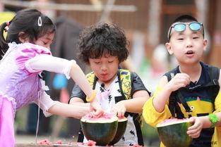 在娱乐综艺吃瓜